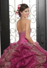 Fuchsia/Leopard